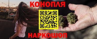 крисы Донской